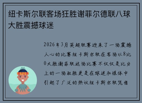 纽卡斯尔联客场狂胜谢菲尔德联八球大胜震撼球迷